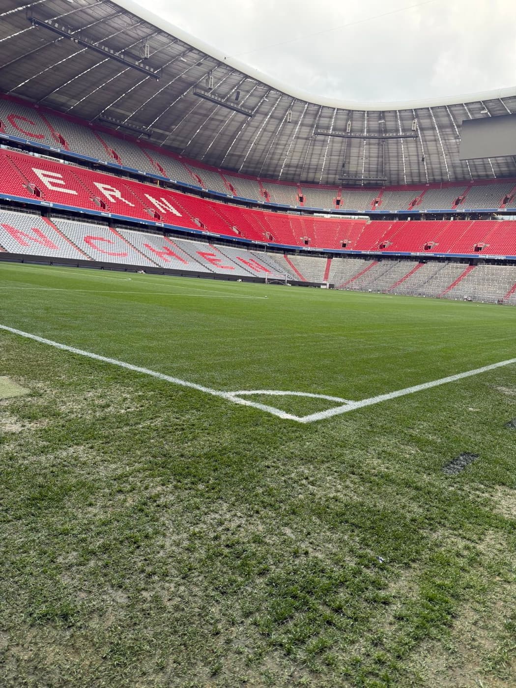 Blick auf den Rasen der Allianz Arena bei einer Stadionführung in München